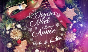 Joyeux NOËL et BONNE ANNEE 2020